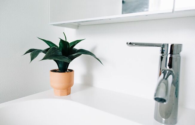 Studio, 1 bath, 300 sqft, $2,446, Unit Newly renovated studio #4. On bike path, near downtown.