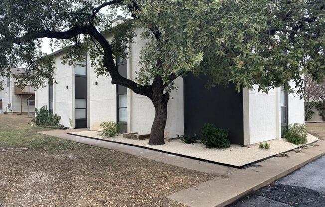 3707 Buffalo Springs Trail