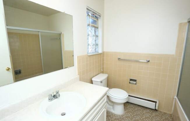 a bathroom with a sink and a toilet and a mirror