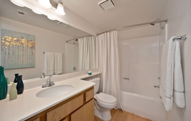 a bathroom with a sink and a toilet and a shower