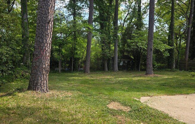 1311 SHANNONHOUSE DR