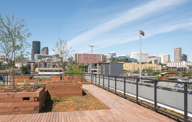 1 bed, 1 bath, 535 sqft, $1,775, Unit 203