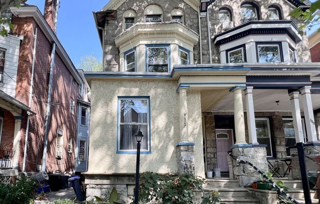 Saint Bernard St S 807