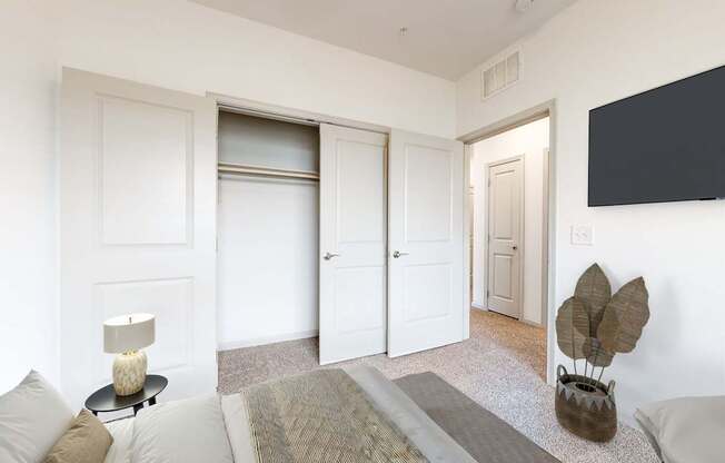 Bedroom with Large Closet