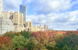 230 CENTRAL PARK S