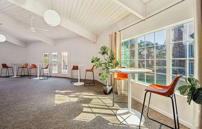 A room with a table and chairs and a plant.