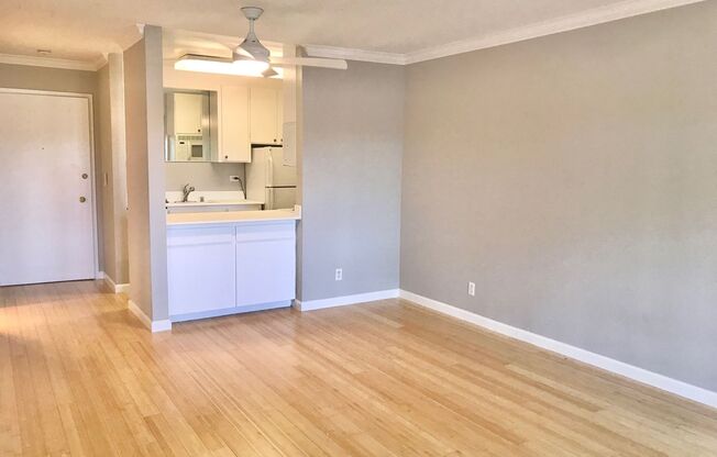 1 bed, 1 bath, 595 sqft, $2,895, Unit 203