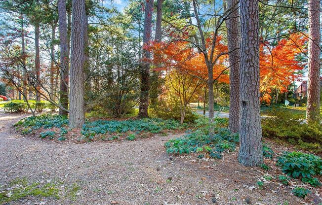 Beautiful Brick Rancher in coveted Westham