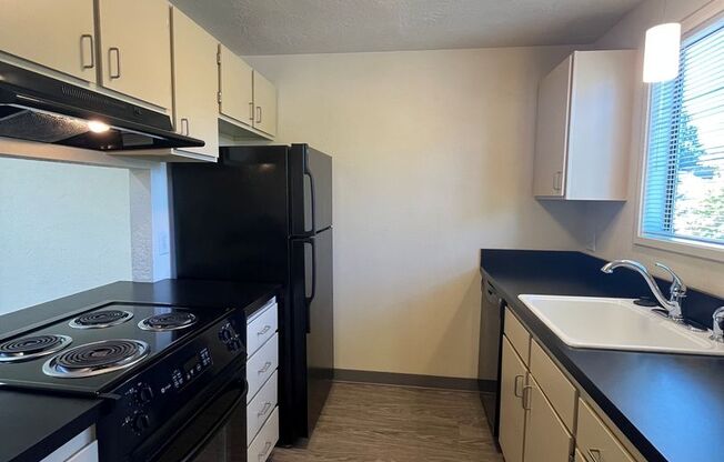 1 bed, 1 bath, 700 sqft, $1,445, Unit 0207