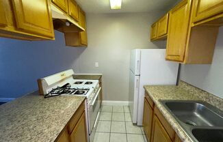 1 bed, 1 bath, $1,100, Unit Apt 1