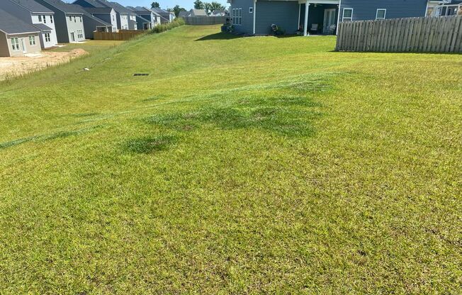 Magnificent Home in The Paddocks at Woodcreek!