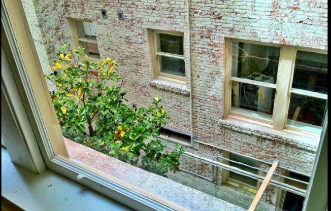 One bedroom available at the Carnegie Building