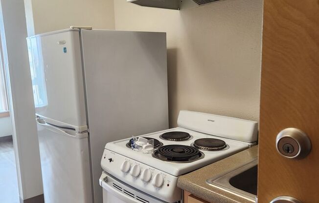 Studio, 1 bath, 295 sqft, $791, Unit 310