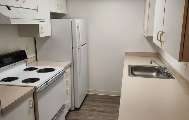 1 bed, 1 bath, 650 sqft, $1,895, Unit 305