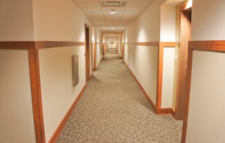 2 beds, 2 baths, 958 sqft, $1,275, Unit 203