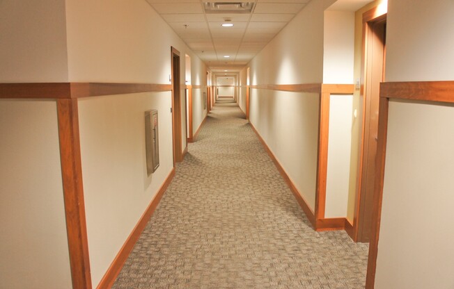 2 beds, 2 baths, 958 sqft, $1,275, Unit 203