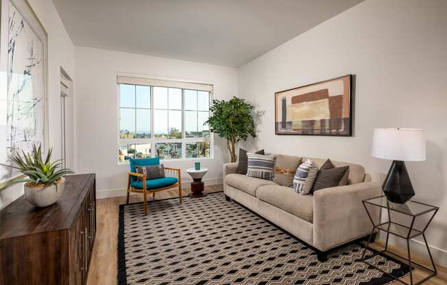 A living room with a couch, a chair, a potted plant, and a rug.