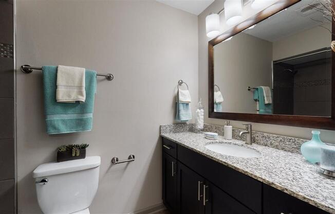 a bathroom with a toilet sink and mirror