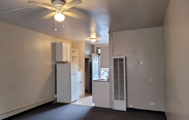 Studio, 1 bath, $795, Unit 110