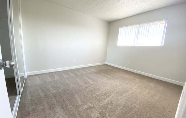 an empty living room with carpet and a window