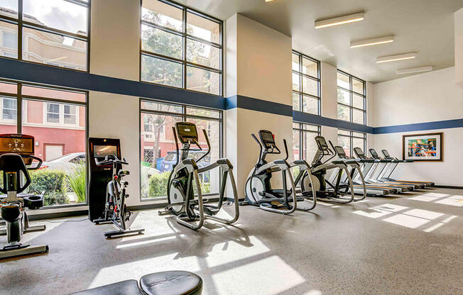 updated fitness center with 20 foot floor to ceiling windows