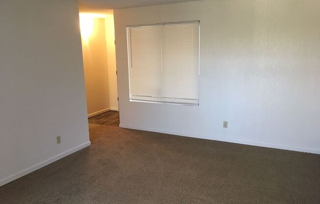 1 bed, 1 bath, $1,125