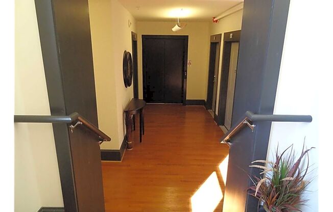 1 bed, 1 bath, 505 sqft, $925, Unit Apt #33