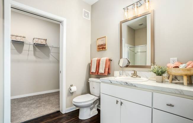 a bathroom with a toilet sink and shower and a mirror