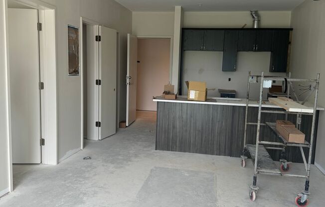 Studio, 1 bath, 222 sqft, $700, Unit UNIT 106