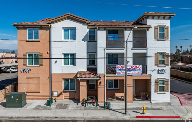 Newport Fontana