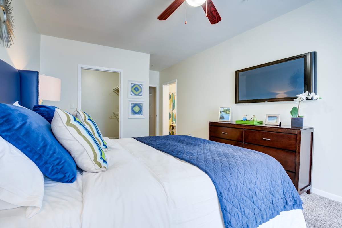 Welcome to Metro 5514 Cityside Apartments in the 77021 Area