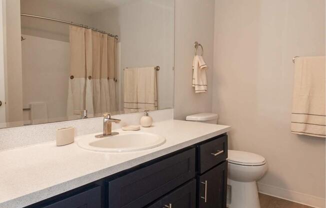 A bathroom with a white sink and a mirror above it.