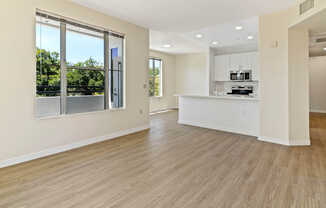 Living Room with Hard Surface Flooring