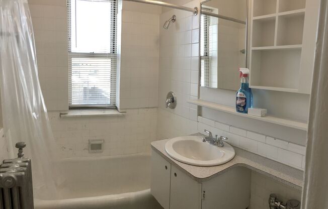 Studio, 1 bath, 233 sqft, $1,195, Unit 912