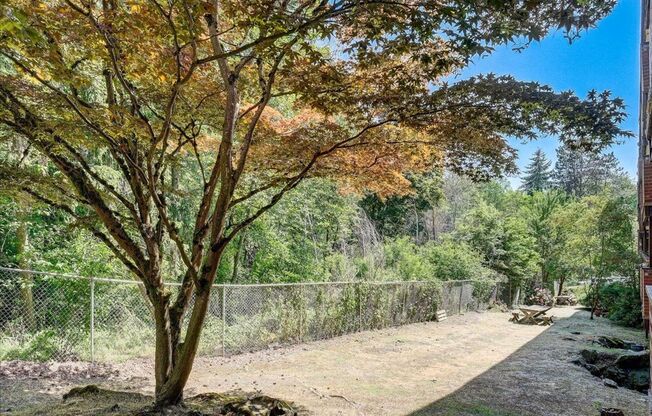 Spacious 1 Bedroom Apartment Homes