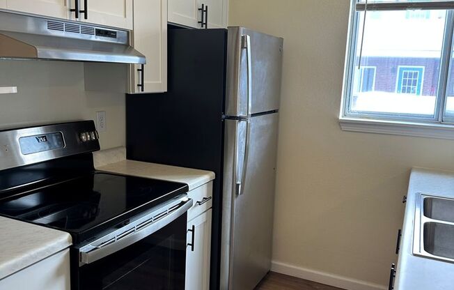 Campus Apartments - Adjacent to UWO