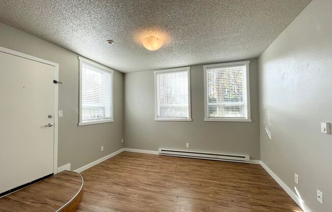 1 bed, 1 bath, 650 sqft, $1,745, Unit 100