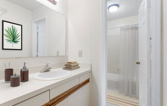 a bathroom with a sink and a shower