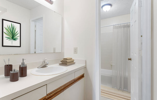 a bathroom with a sink and a shower