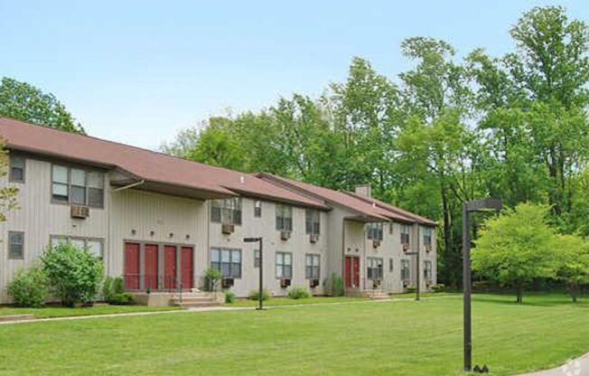 McGuires Grove I