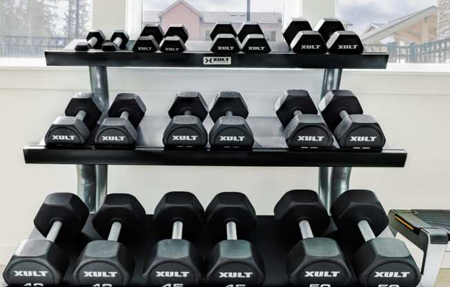South Ridge Apartments Fitness Center with Dumbbells