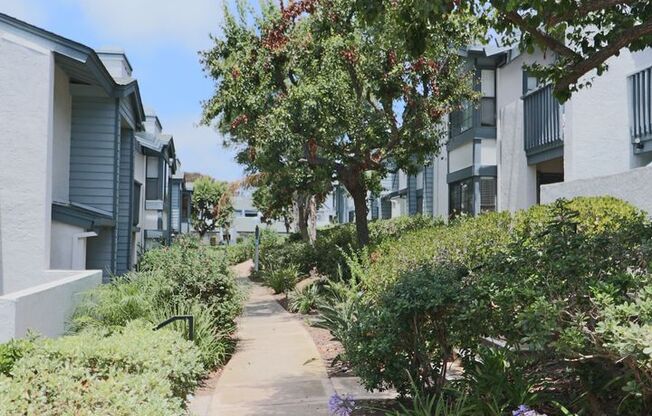 1 Bed 1 Bath near UCSD, laundry in unit, Pool in complex, close to beaches