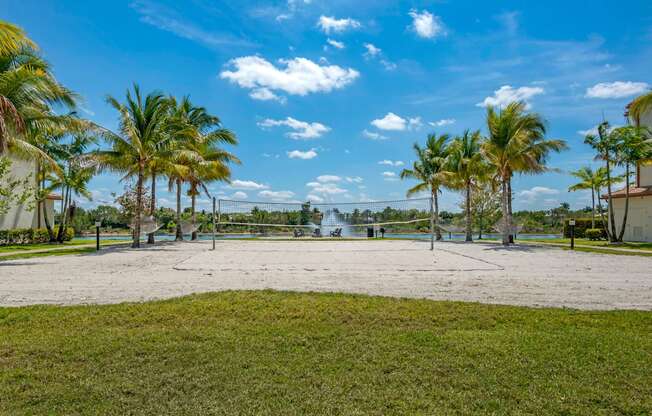 A beach with palm trees and a clear sky.