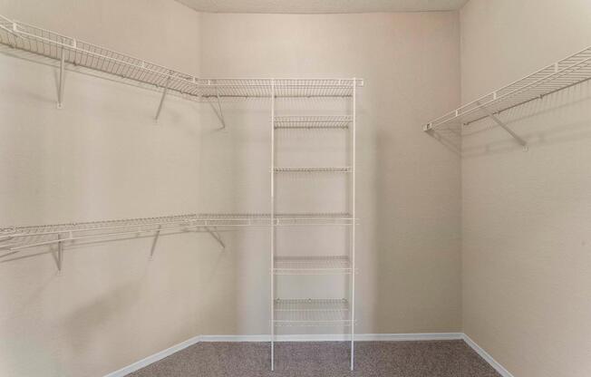 Spacious Walk-In Closet
