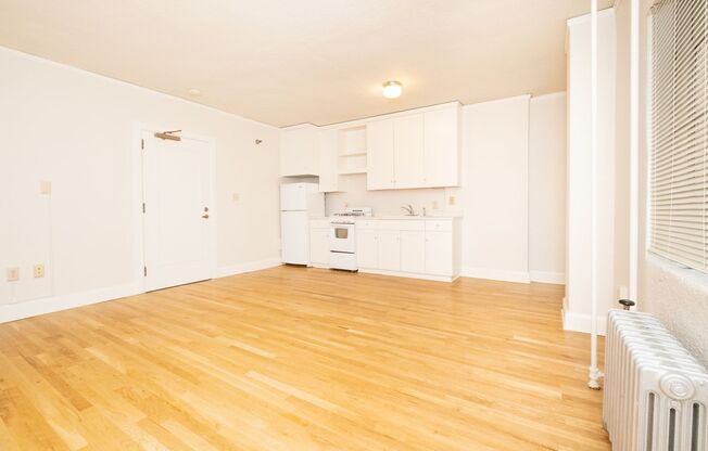 Studio, 1 bath, 370 sqft, $1,100, Unit 102