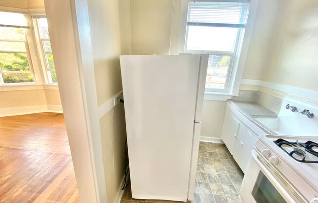 Studio, 1 bath, 480 sqft, $1,295, Unit 206