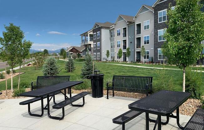 Picnic And BBQ at Watermark at Harvest Junction, Longmont, CO, 80501