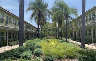 Courtyard landscaping