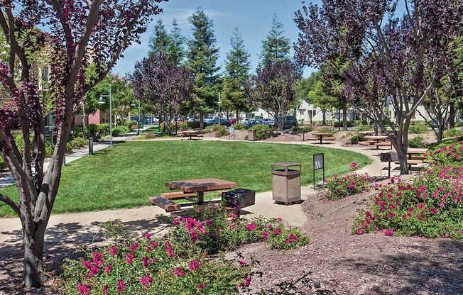 A park with a bench and a tree with purple flowers.