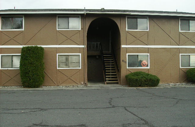 843 Division